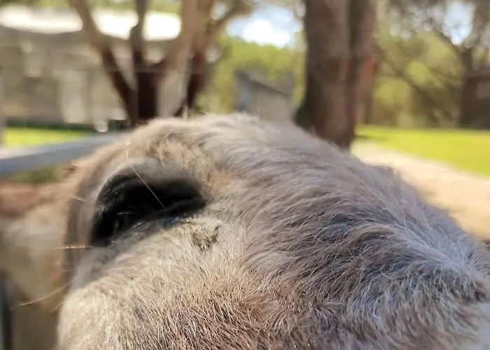 Monte Da Laje Feriehus *