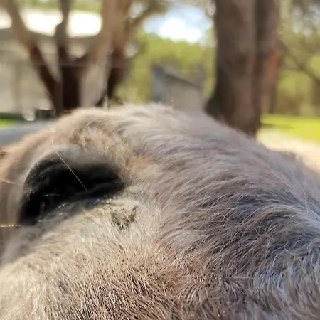 Monte Da Laje Casa vacanze *